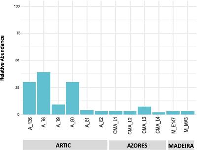 Actinobacteria from Arctic and Atlantic deep-sea sediments—Biodiversity and bioactive potential